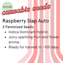 Load image into Gallery viewer, Rasberry Slap Autoflower Seeds
