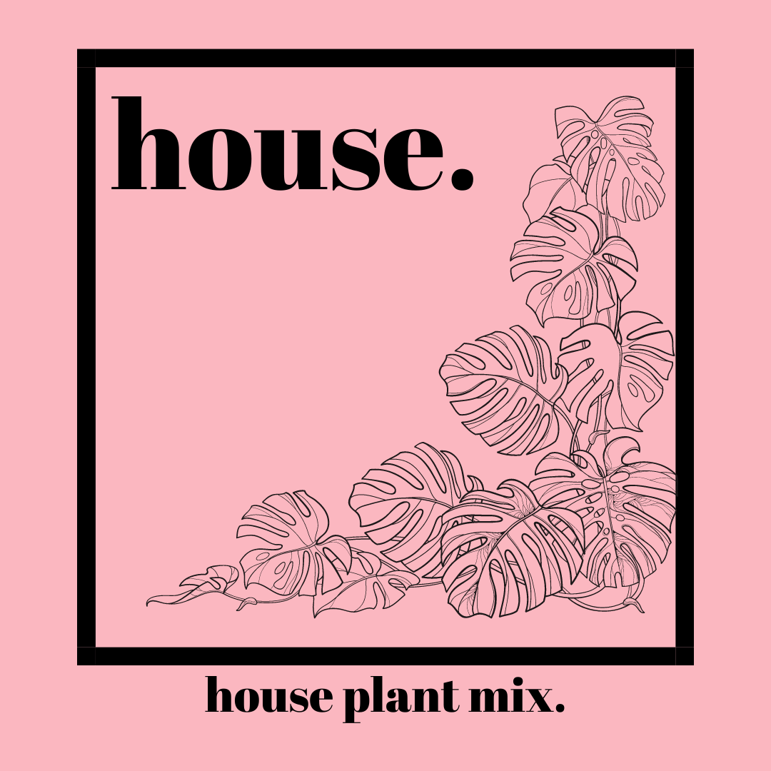 House | Organic Indoor Houseplant Soil Mix